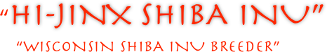       “Hi-Jinx Shiba Inu”
  “Wisconsin Shiba Inu Breeder”
            